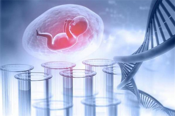 les在柬埔寨做试管婴儿需要多少钱