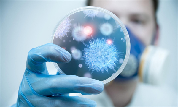 柬埔寨试管婴儿医院排行榜2025年