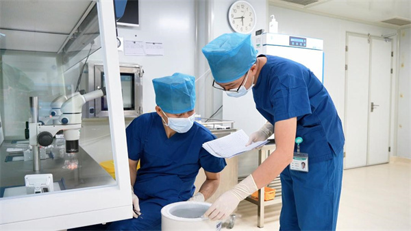 柬埔寨允许未婚女性做试管婴儿吗2025年