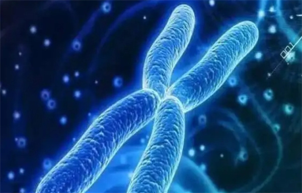 柬埔寨三代试管婴儿成功率较高的医院名单