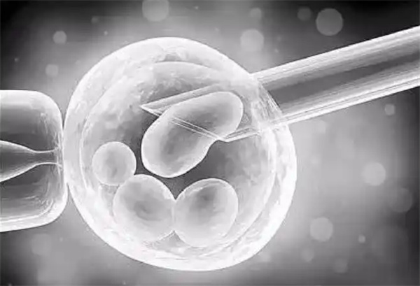 柬埔寨私人机构三代试管收费参考2025