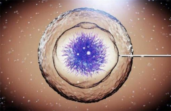 柬埔寨做三代试管婴儿比较好的医院排行榜