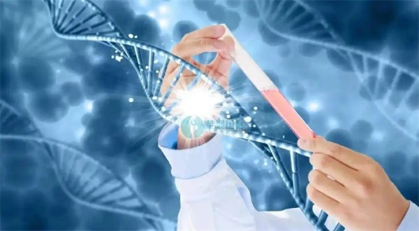 柬埔寨私人机构做试管怎么样？附最新三代收费参考