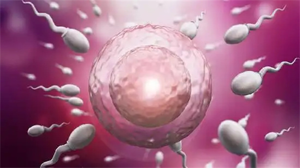 柬埔寨可以做三代试管的医院有哪些