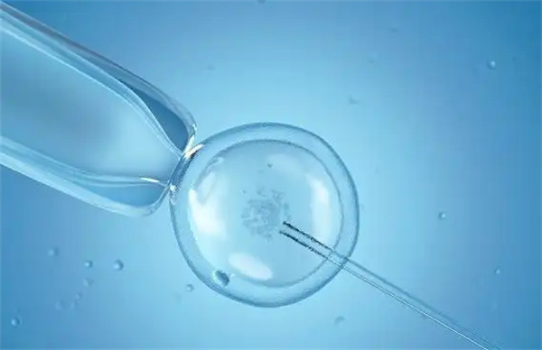 柬埔寨做三代试管婴儿的成功率怎么样