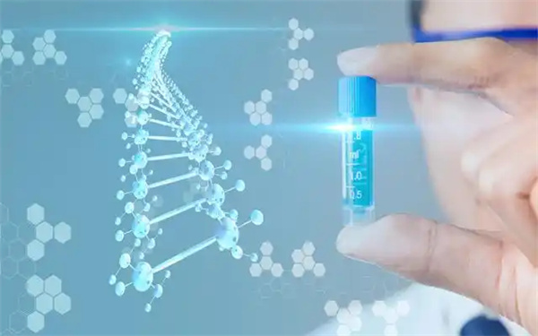 柬埔寨私人机构做三代试管婴儿能成功吗