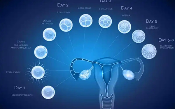 高龄女性去柬埔寨做试管可以成功吗