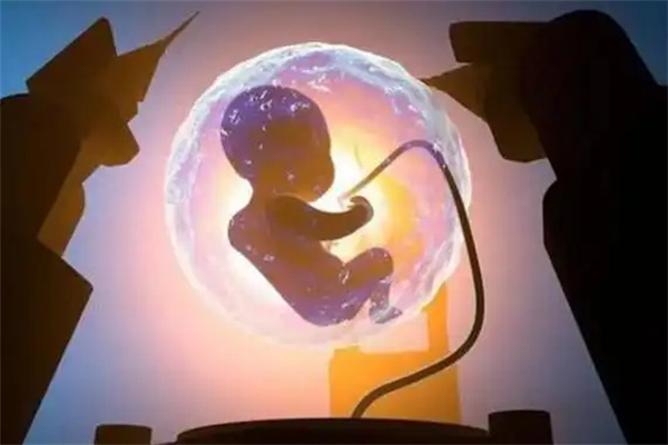 柬埔寨三代试管成功率较高的医院都有哪些