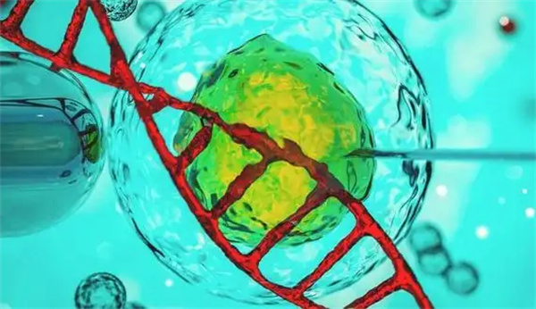 2025柬埔寨三代试管收费明细参考