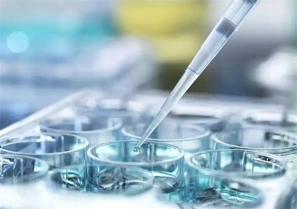 柬埔寨可以做试管助孕的机构有哪些