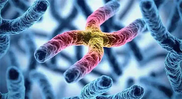 2025年柬埔寨试管最好的医院是哪家