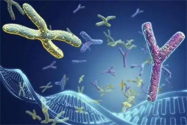 柬埔寨三代试管收费明细2025年参考标准