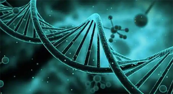 柬埔寨三代试管私立机构收费标准，附影响费用因素介绍