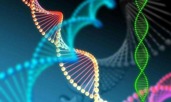 2025柬埔寨私人机构做一次三代试管要多少钱