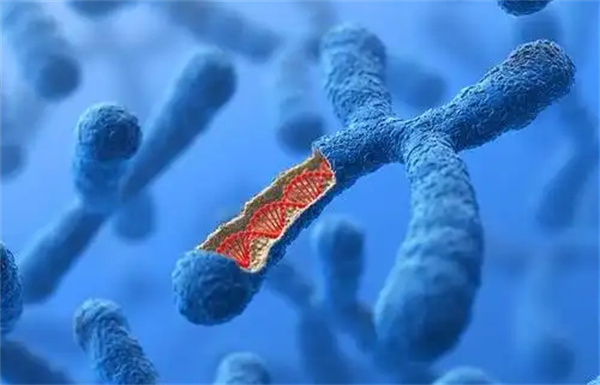 柬埔寨诺芽国际医院做试管技术怎么样