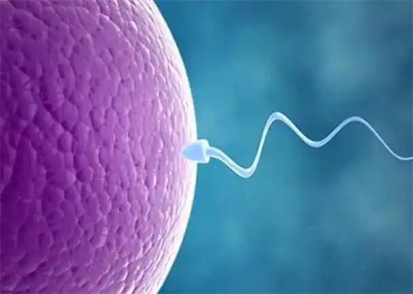 柬埔寨私人机构允许做试管助孕吗？附详细收费明细参考