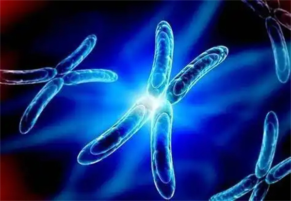 柬埔寨做第三代试管包生女孩多少费用