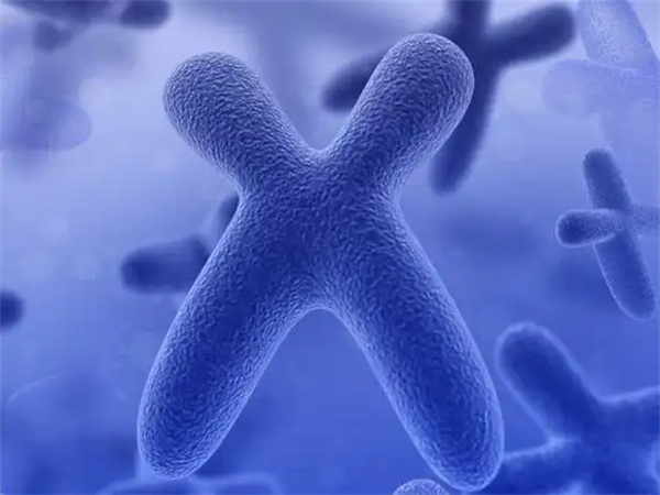 柬埔寨私人机构试管助孕单周期收费明细参考