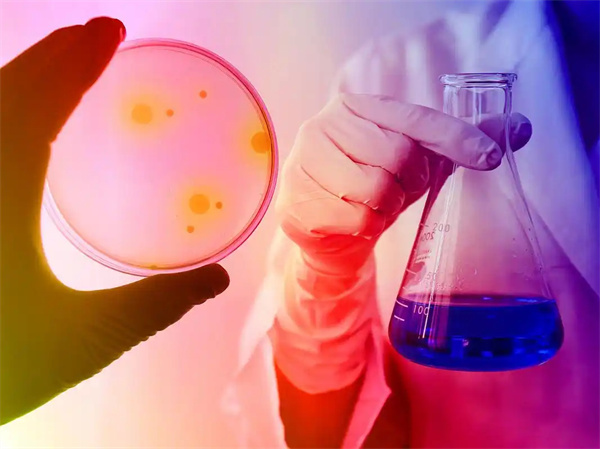 柬埔寨哪里做试管可以选择性别？附单周期费用介绍